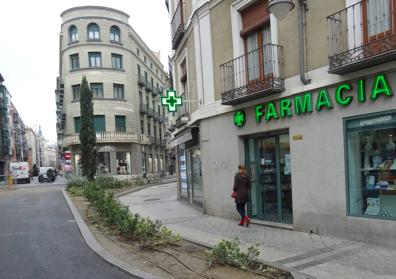 Imagen secundaria 1 - Arriba, árboles plantados en la plazoleta de la calle Falla del Cuatro de Marzo. Debajo, a la izquierda, el parterre de Cánovas del Castillo. A la derecha, el nuevo arbolado de la calle Ratrojo. 