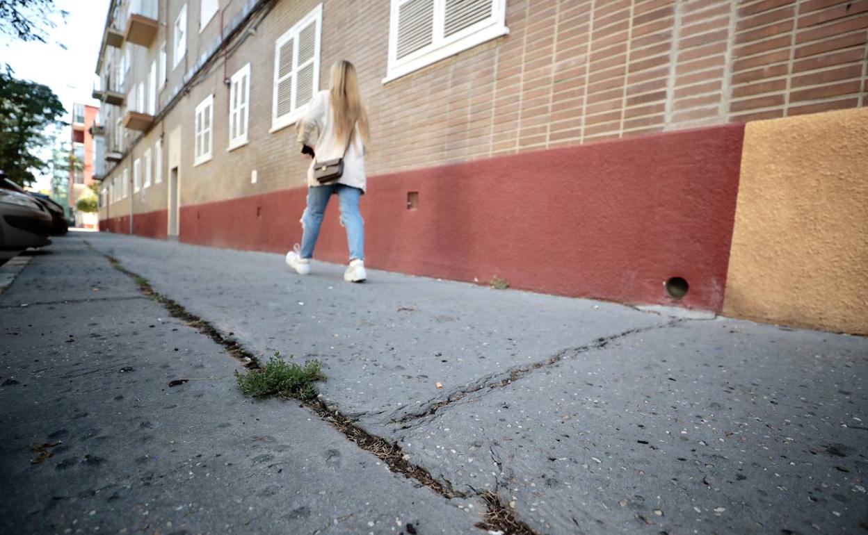 Una mujer recorre la avenida Reyes Católicos. 