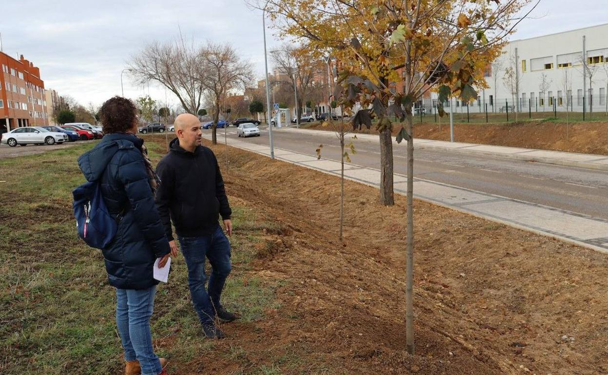 Visita del concejal de Medio Ambiente del Ayuntamiento de Segovia a la zona de la plantación. 