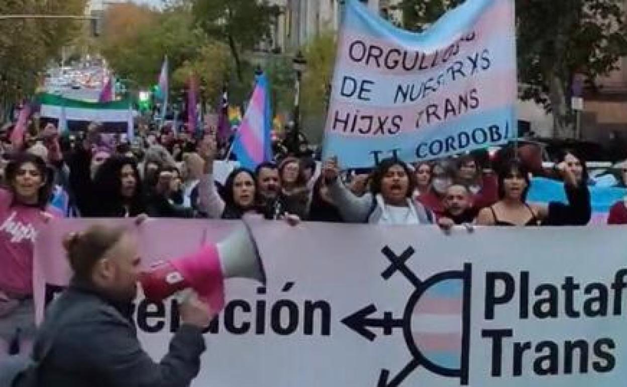 Imagen de la manifestación trans de este sábado en Madrid