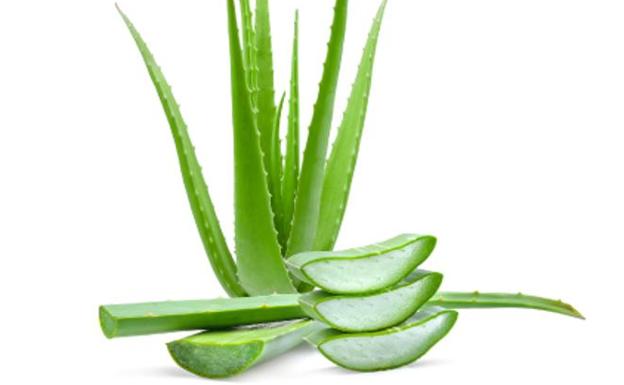 Beneficios del aloe vera