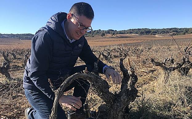 El enólogo Rubén Pérez Cuevas. 