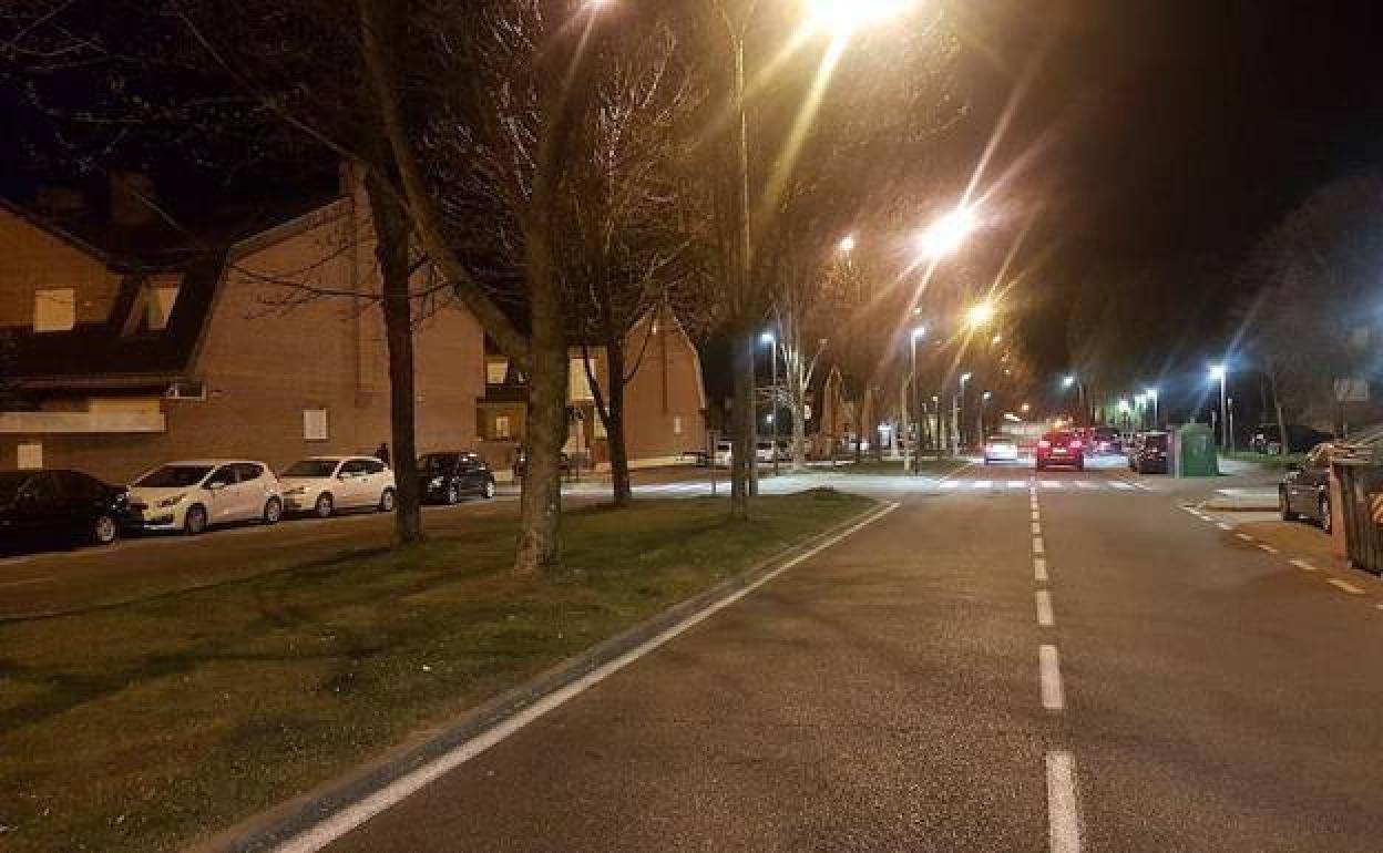 Avenida Ramón Carande, en Palencia. 