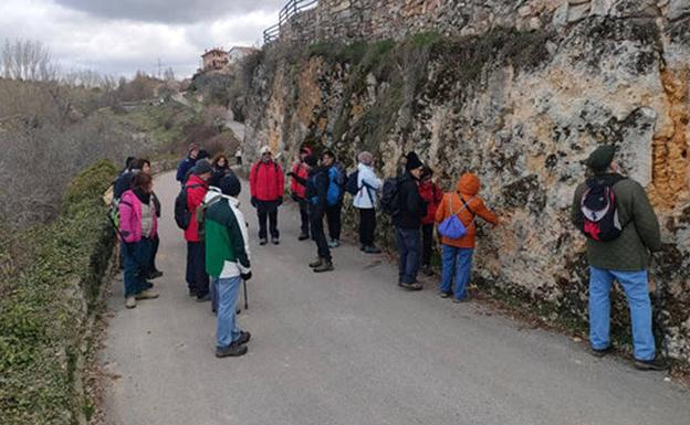 Un grupo admira una de las formaciones rocosas en uno de los recorridos de las rutas geológicas de Castrojimeno. 