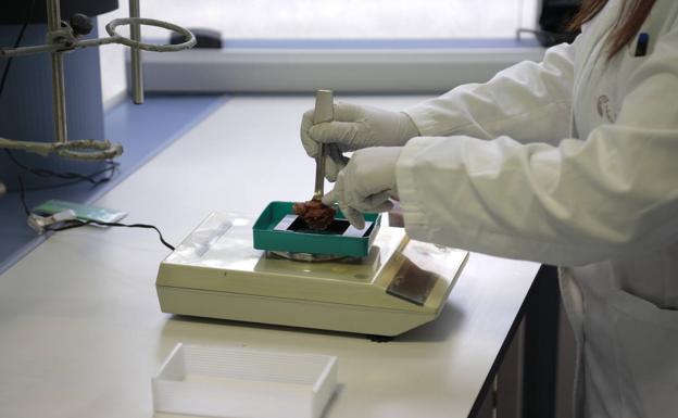 Laboratorio de la Estación Tecnológica de la Carne de Guijuelo. 