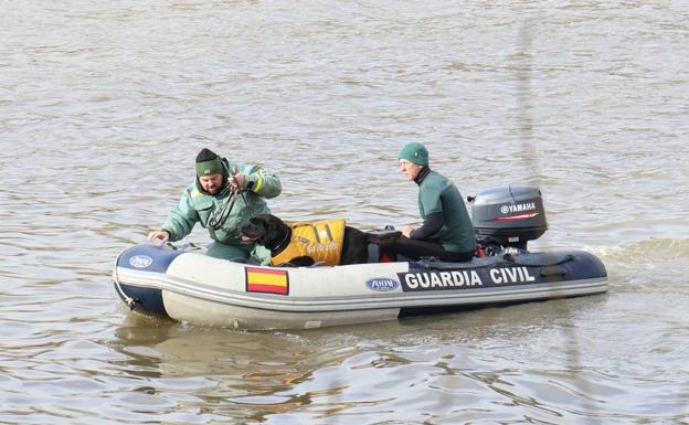 Miembros del GEAS rastrean el Duero con la ayuda de un perro. 