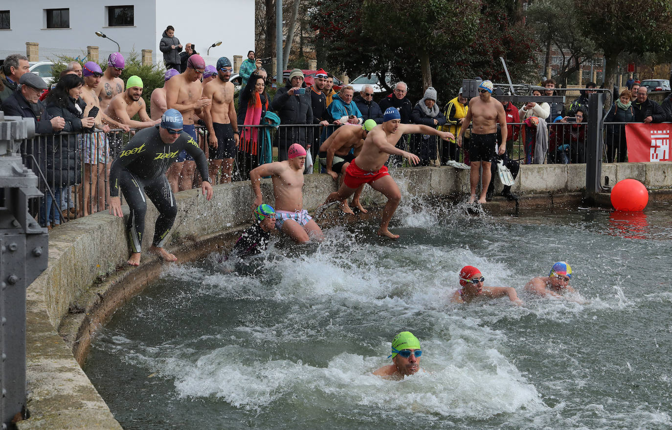 Fotos: A prueba de valientes en la Dársena del Canal en Palencia