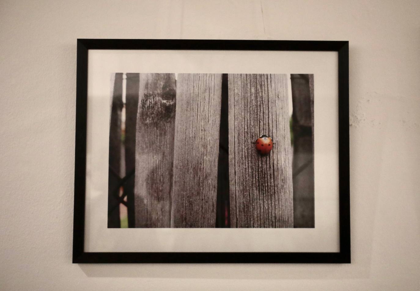 Fotos: Exposición de la fotógrafa Teresa Ulloa en Valladolid