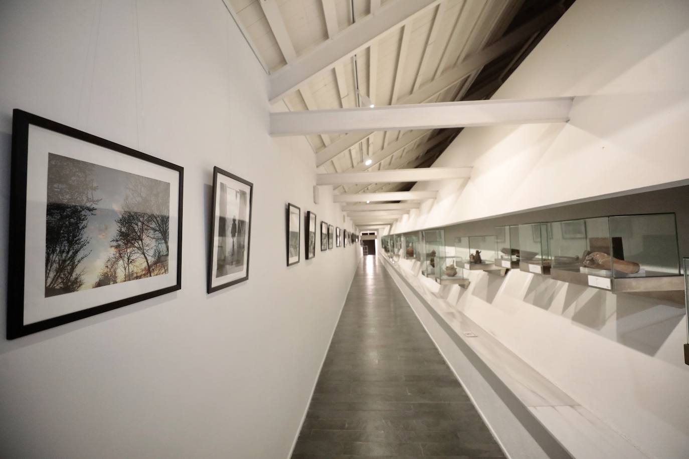 Fotos: Exposición de la fotógrafa Teresa Ulloa en Valladolid