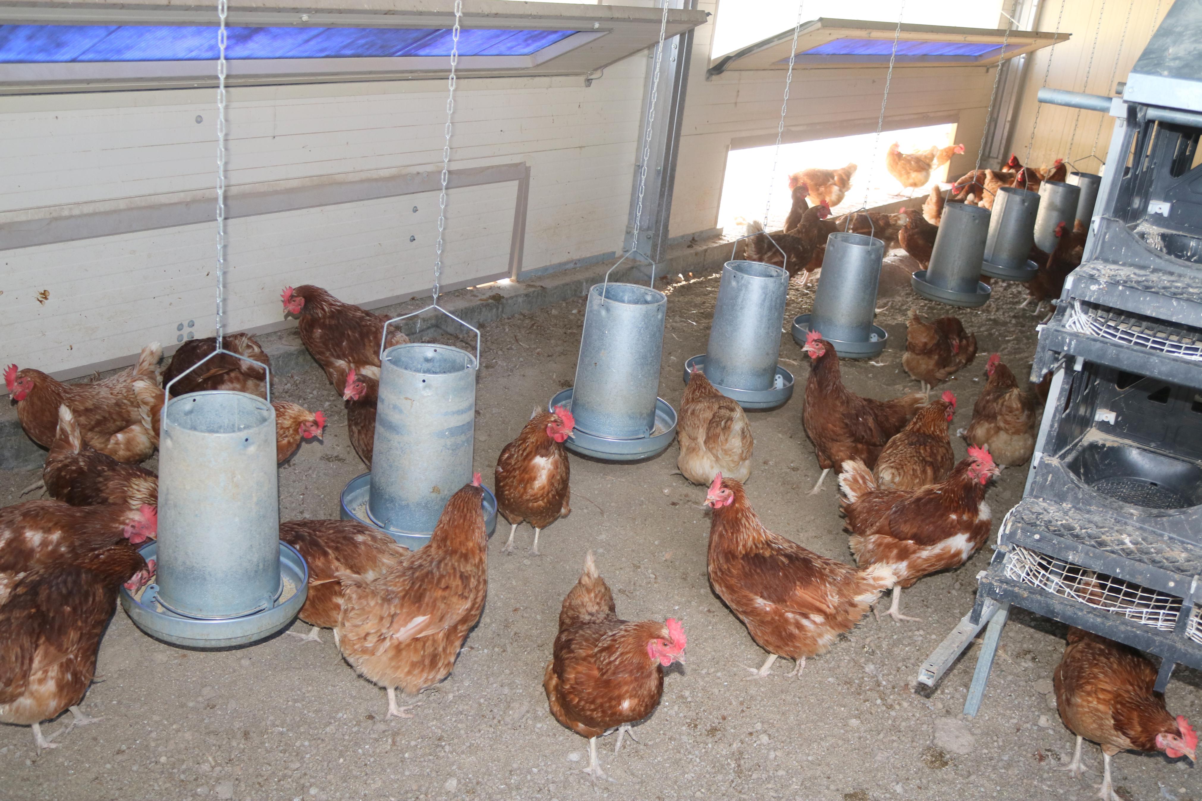 Las excursiones por el Cerrato son una de las citas clásicas de los cooperativistas