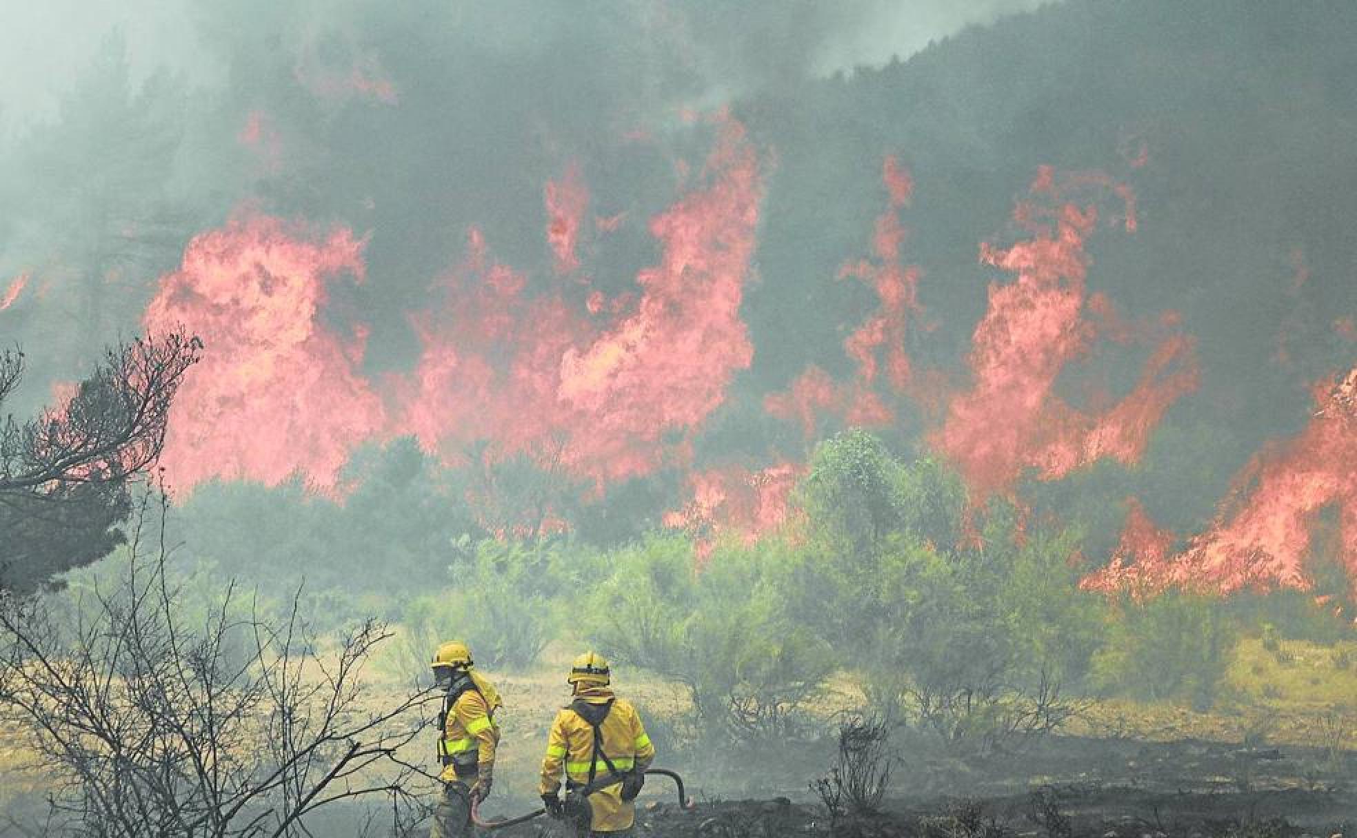 Agentes medioambientales trabajan en la zona del incendio de Navafría frente a las grandes llamas que queman la arboleda. 