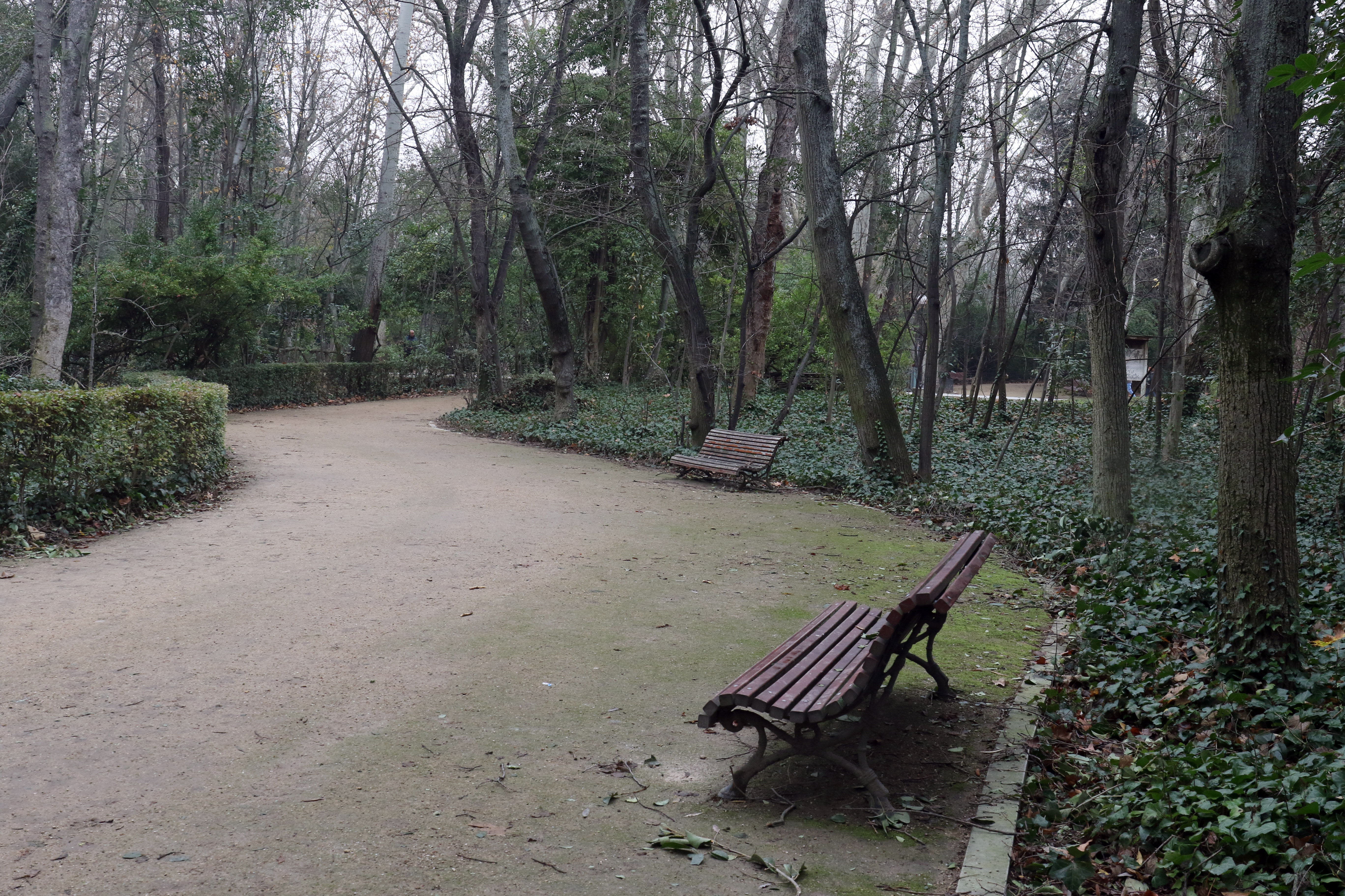 Un museo vegetal con más de seis mil árboles