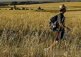 Una mirada diferente al tramo del Camino de Santiago que atraviesa Castilla y León