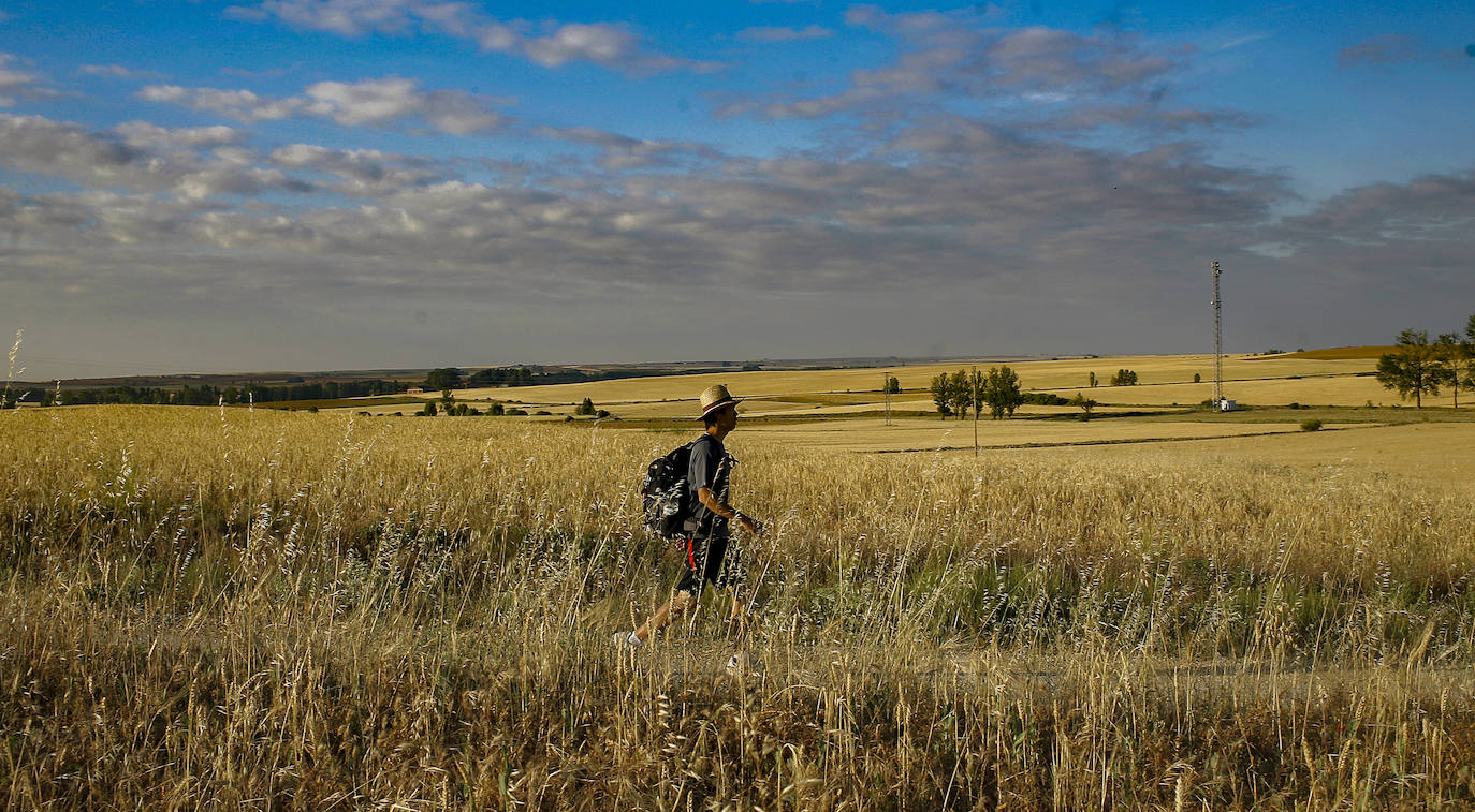 El camino atraviesa Tierra de Campos donde los peregrinos sufren el calor y el camino infinito.