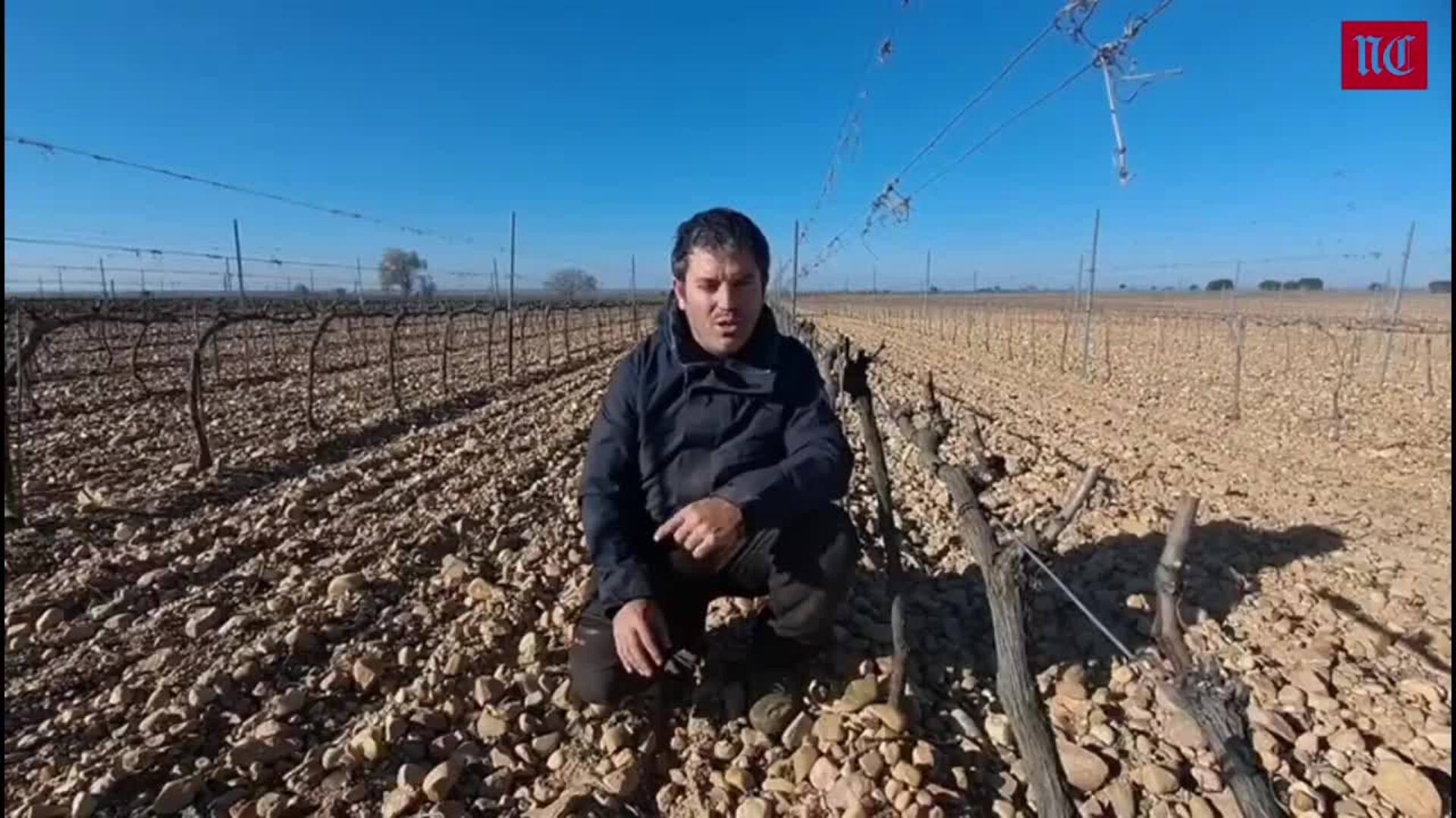 Así se aplica el abono orgánico en el viñedo