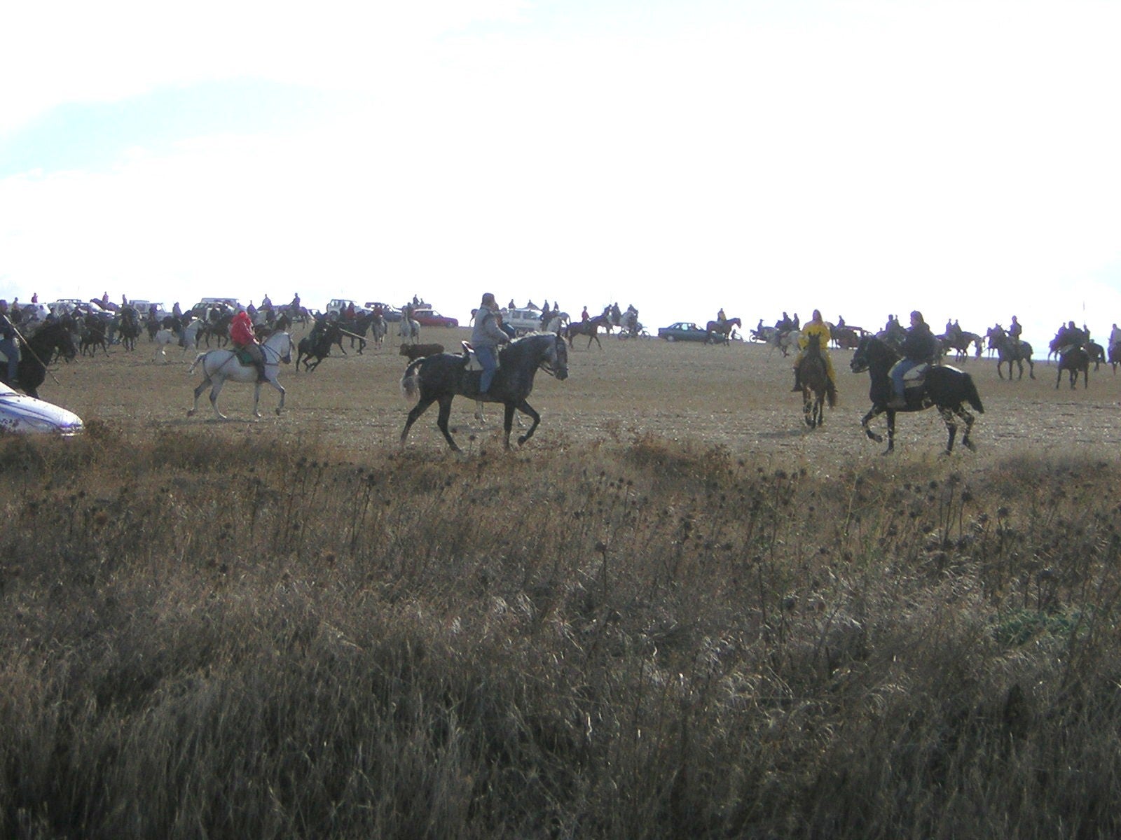 Los encierros de Mayorga, a lo largo de los años