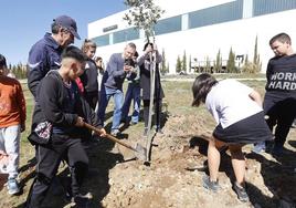 El teniente de alcalde anima a una de las niñas a plantar el árbol.