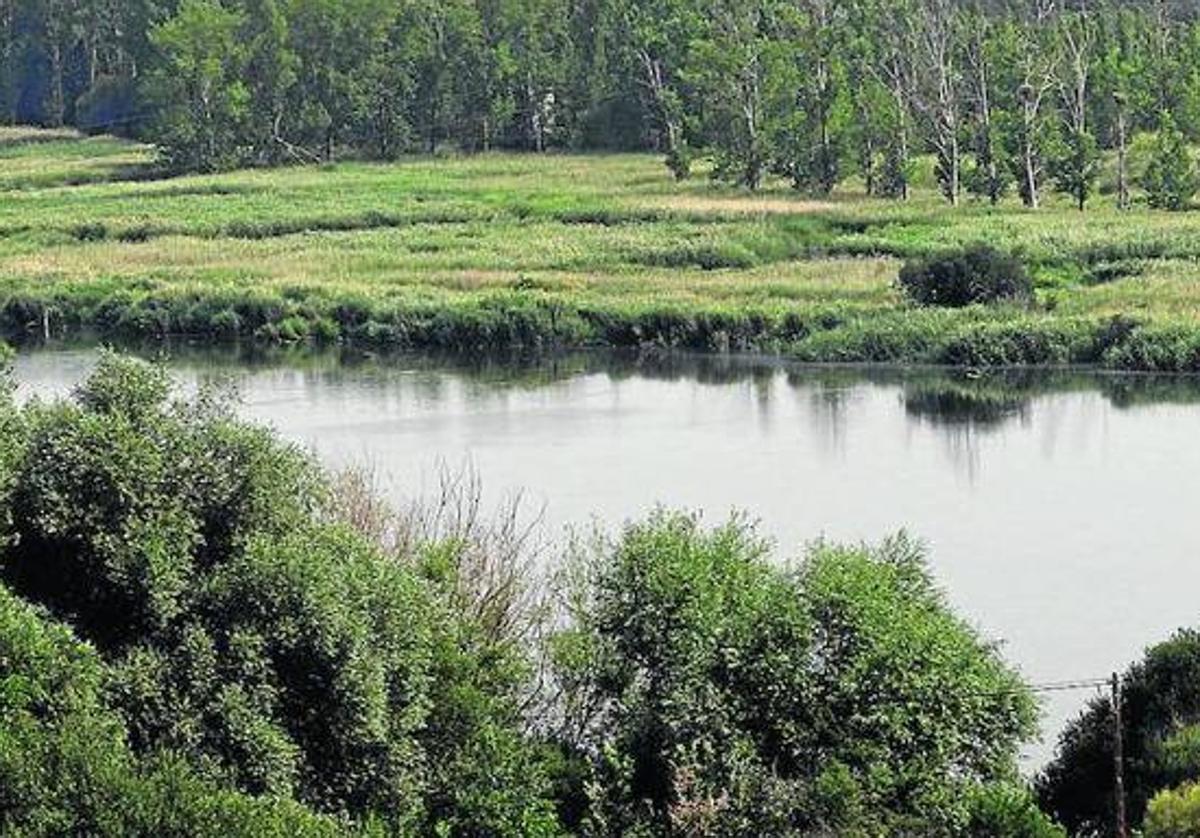 Aprobado el proyecto de modernización del regadío del Canal de Castronuño