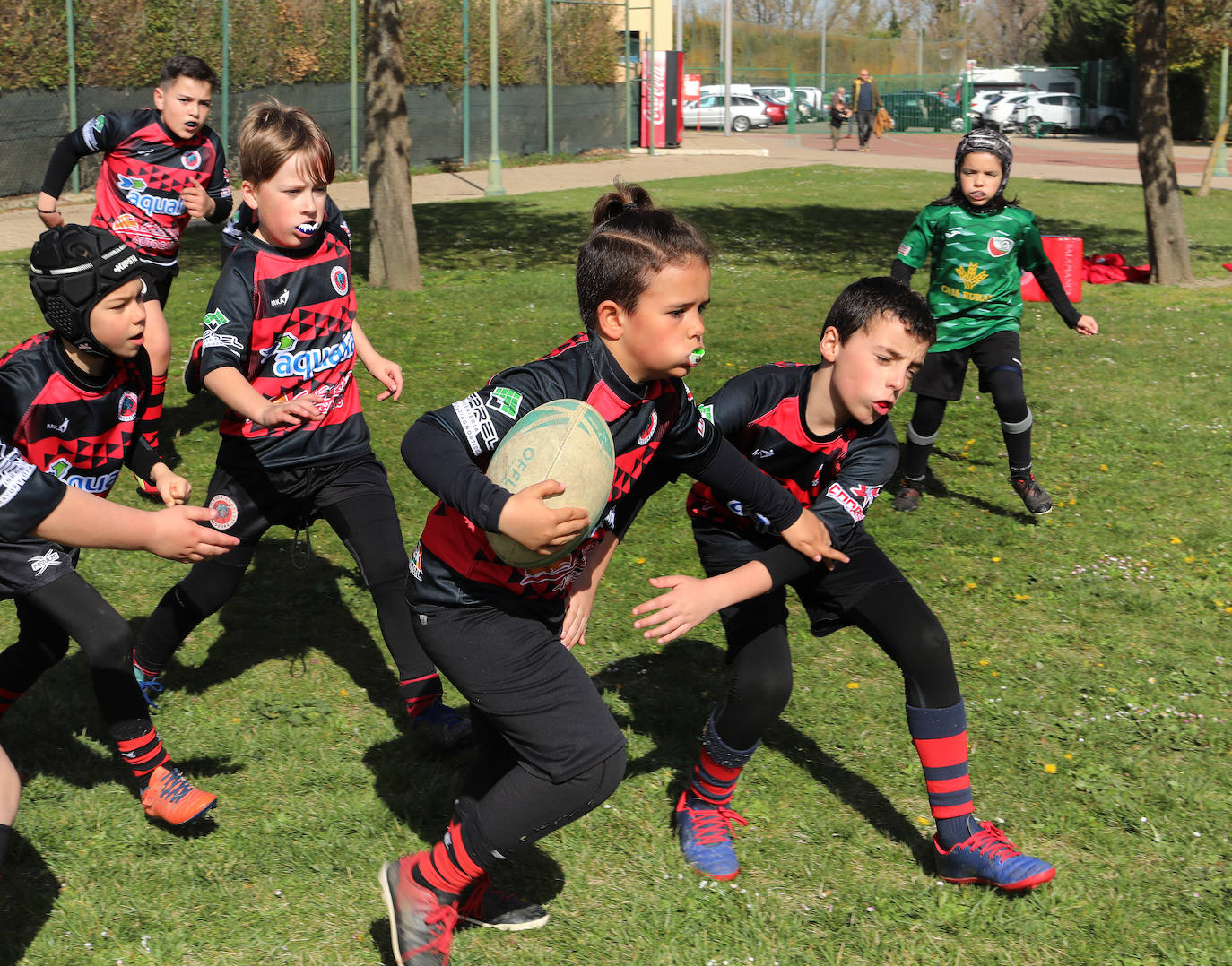 Palencia acoge la gran fiesta del rugby