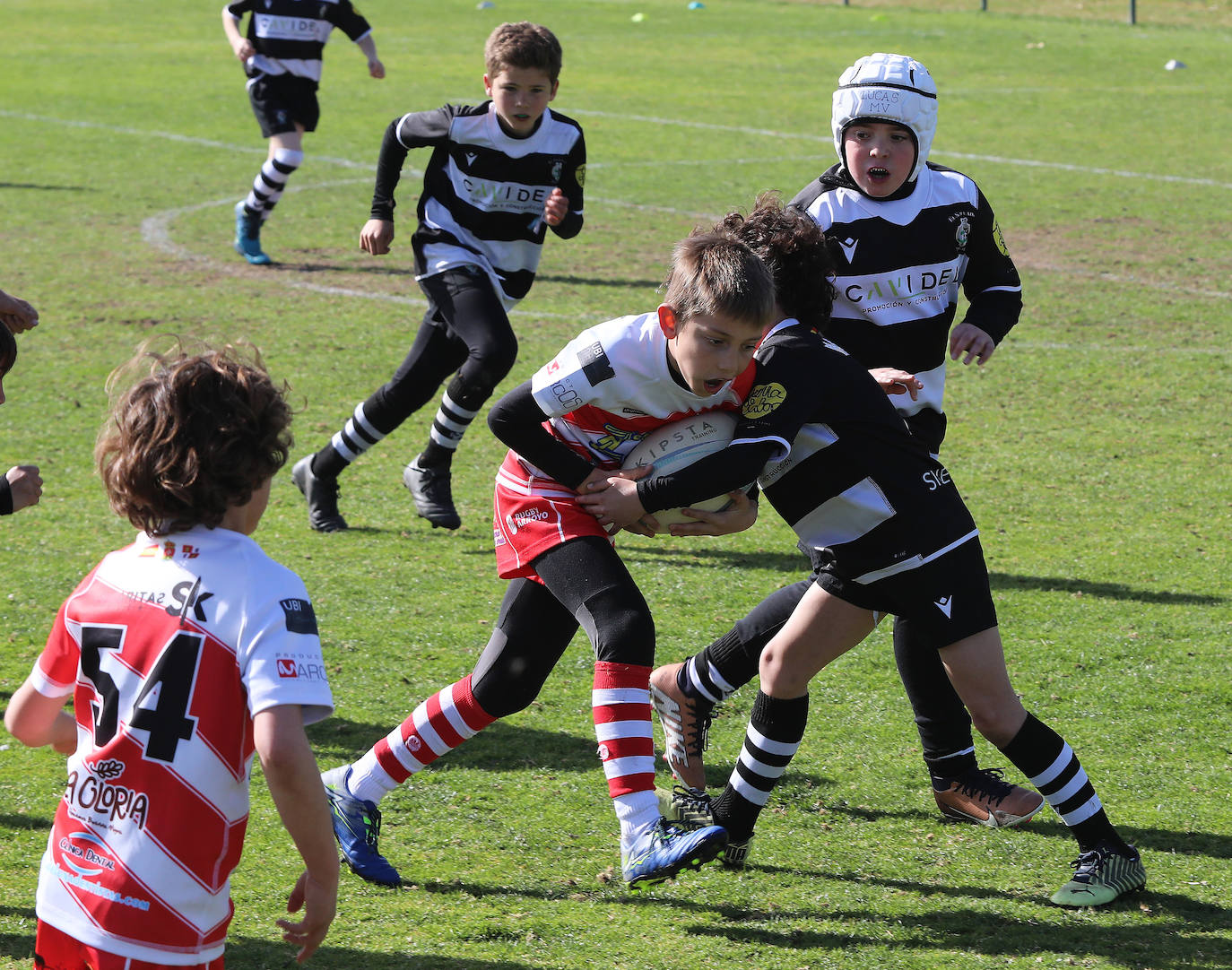 Palencia acoge la gran fiesta del rugby