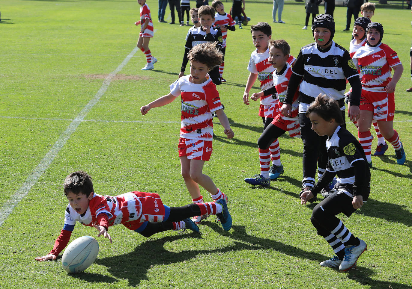 Palencia acoge la gran fiesta del rugby