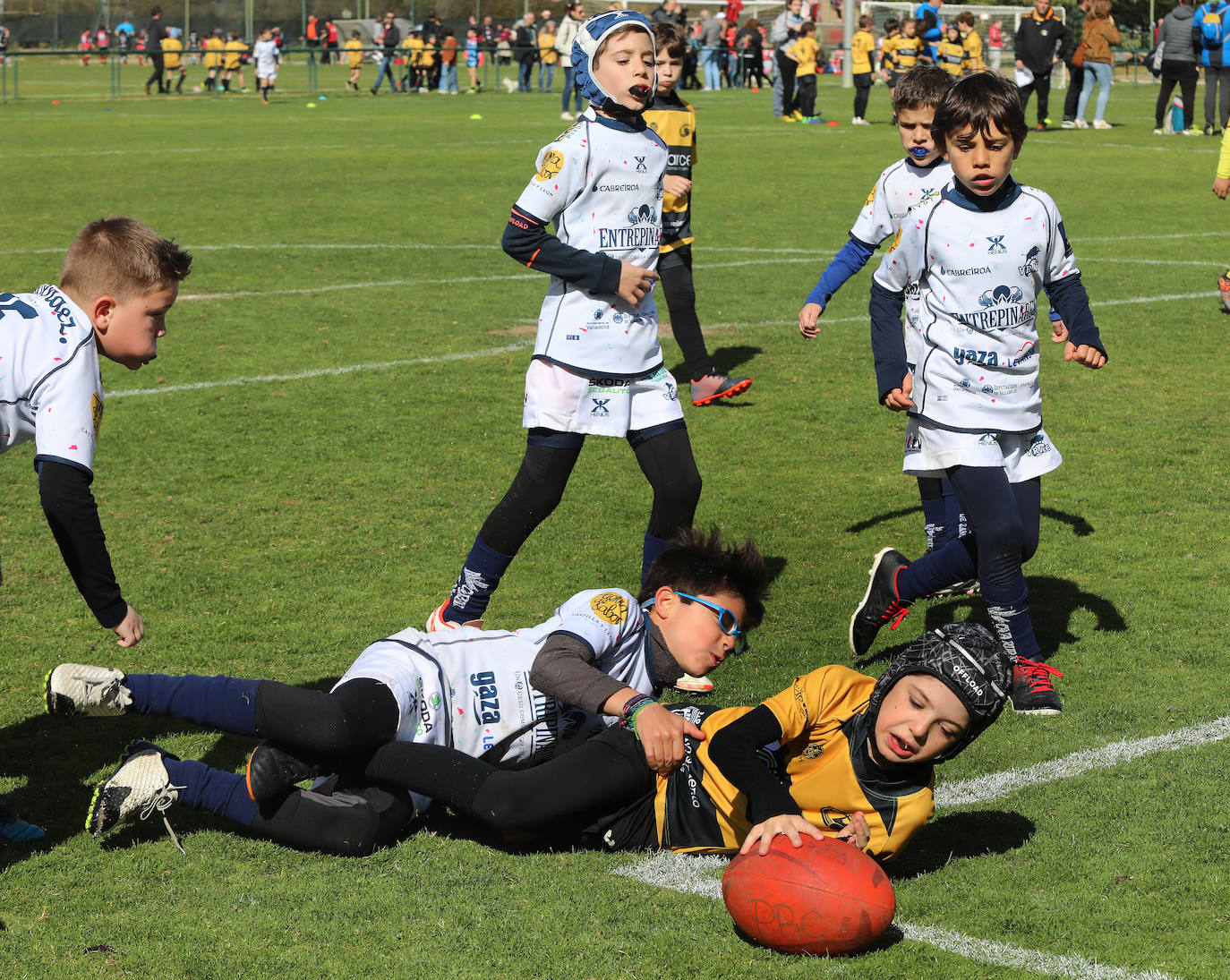 Palencia acoge la gran fiesta del rugby