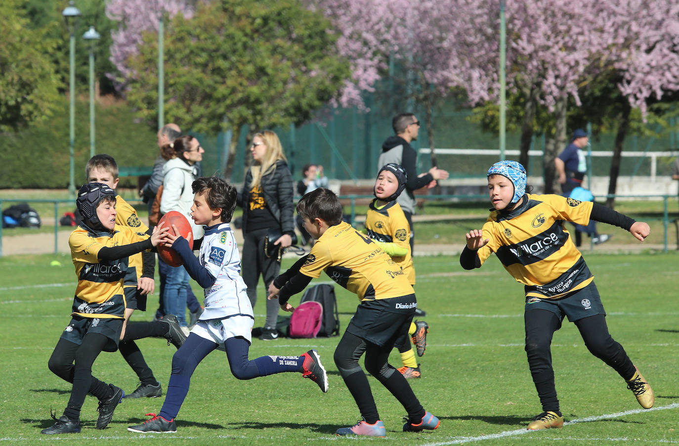 Palencia acoge la gran fiesta del rugby