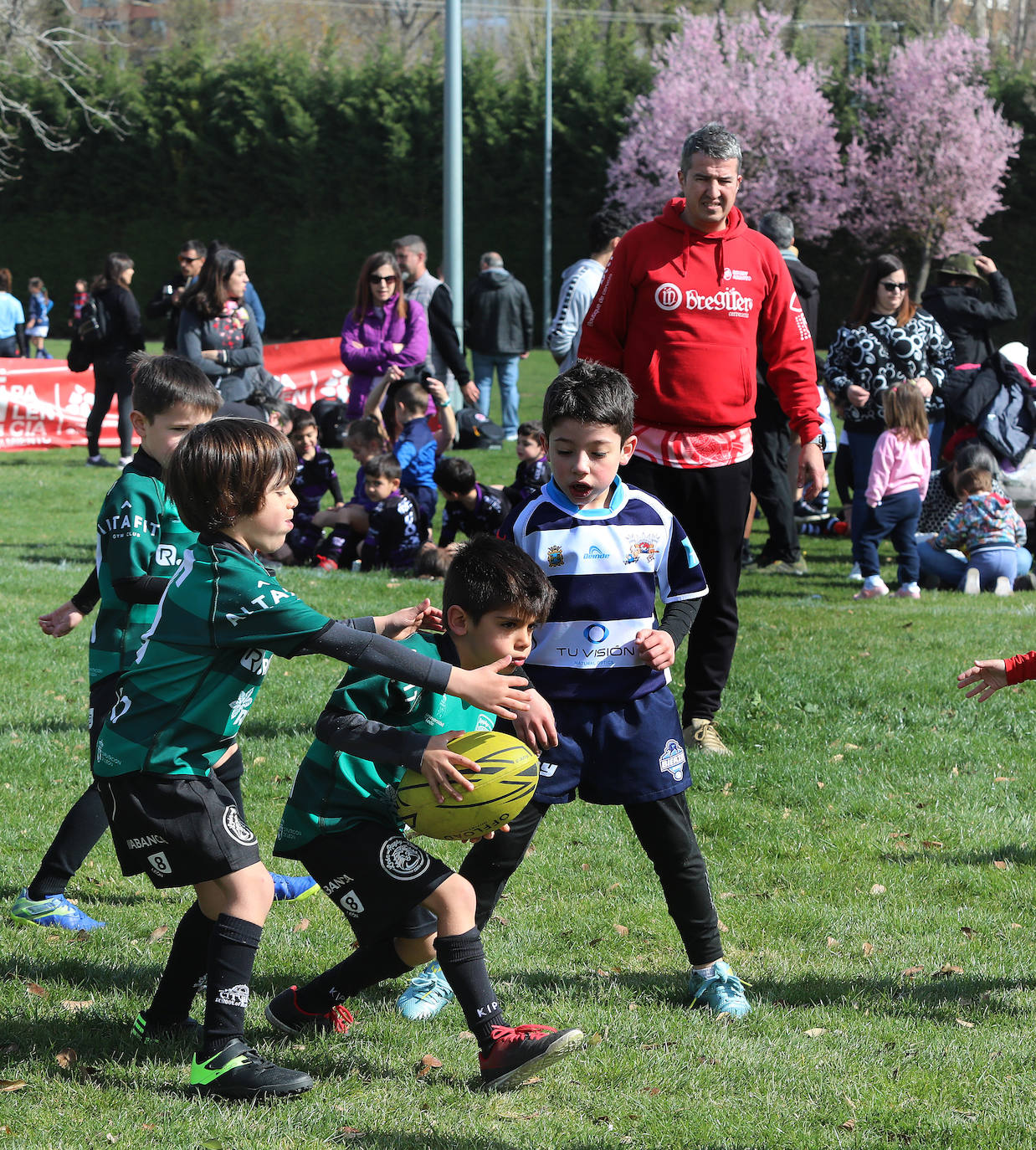 Palencia acoge la gran fiesta del rugby