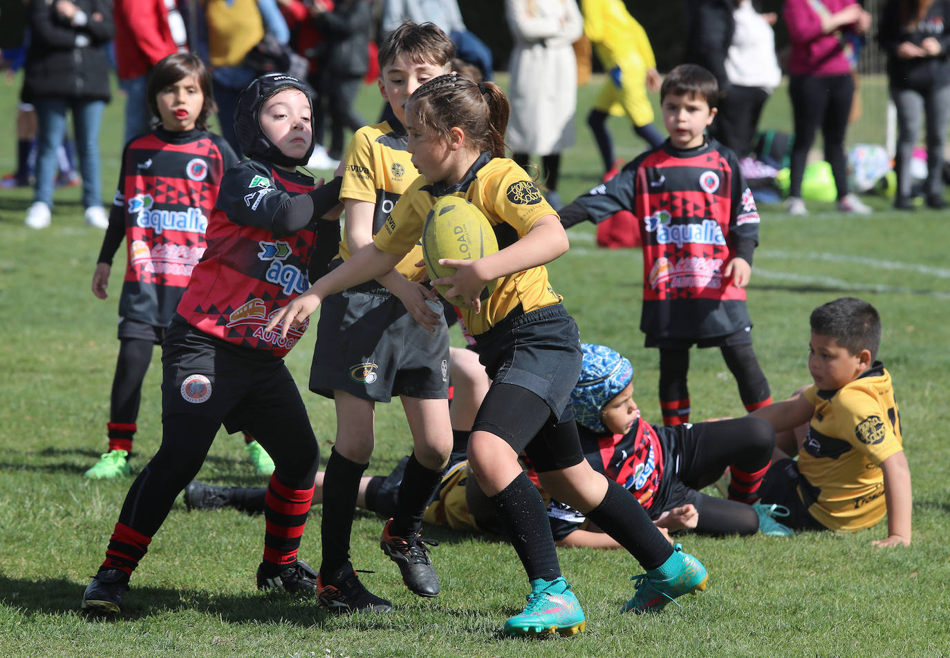 Palencia acoge la gran fiesta del rugby