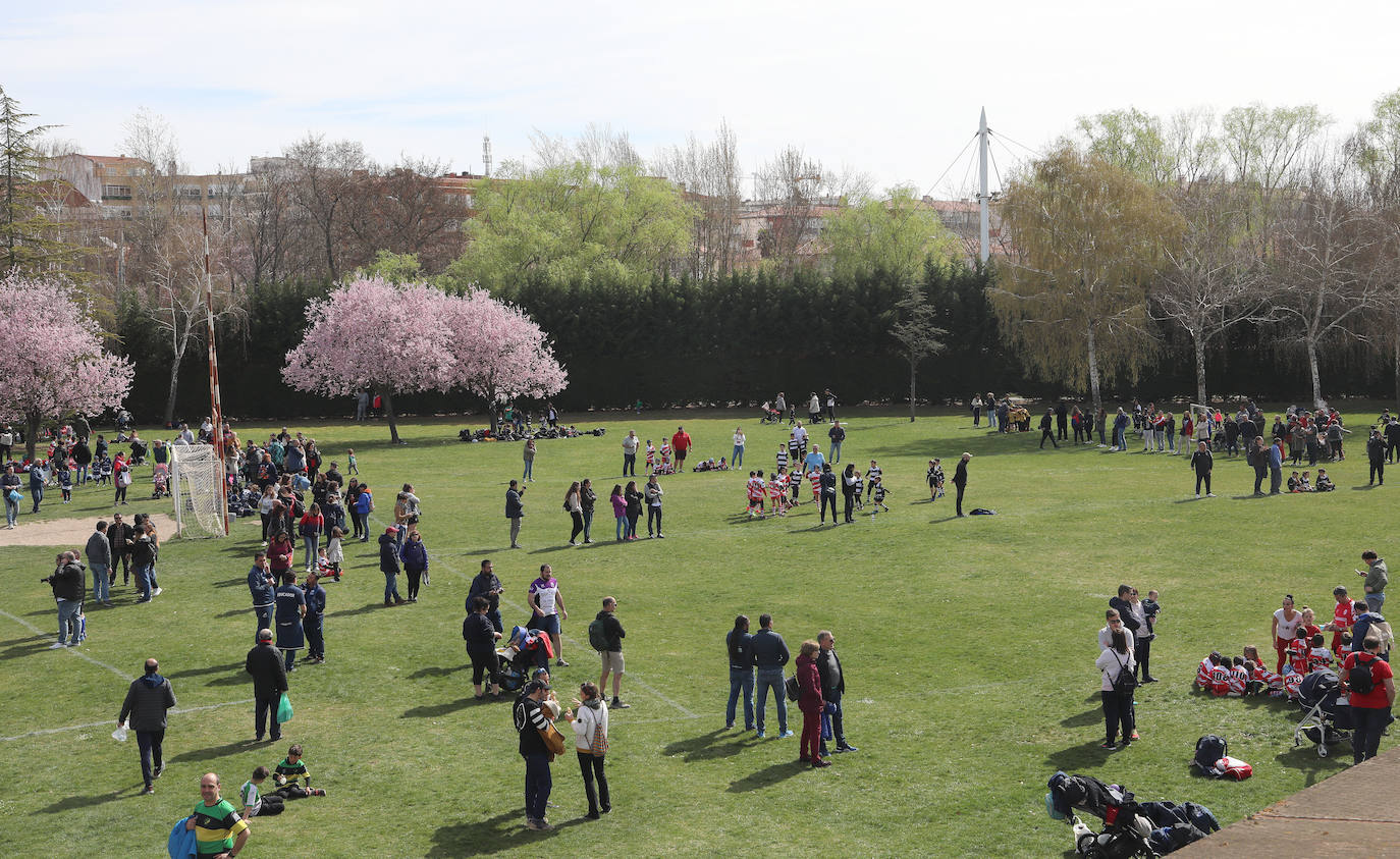 Palencia acoge la gran fiesta del rugby