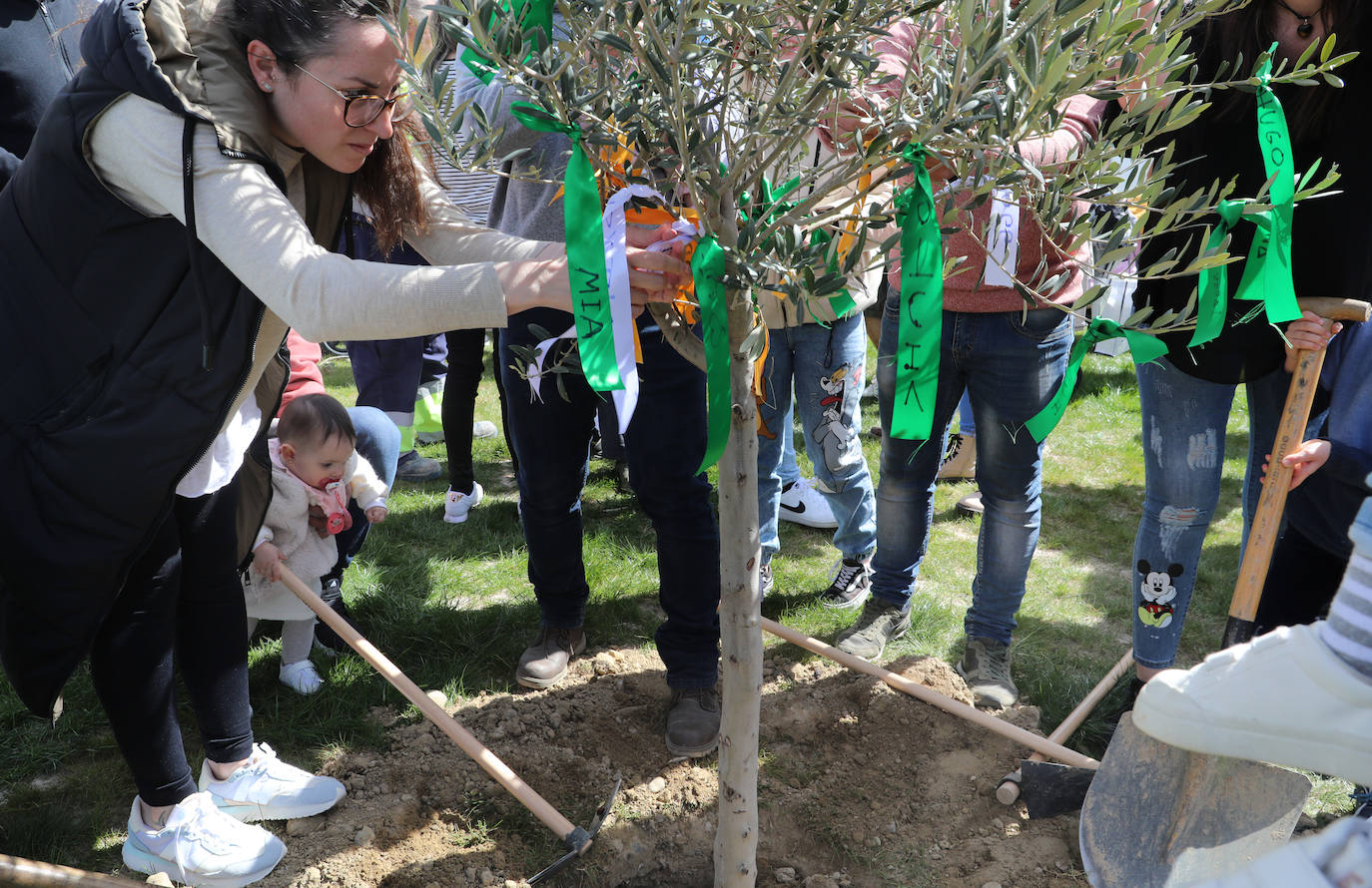 Villamuriel, un árbol por cada vecino