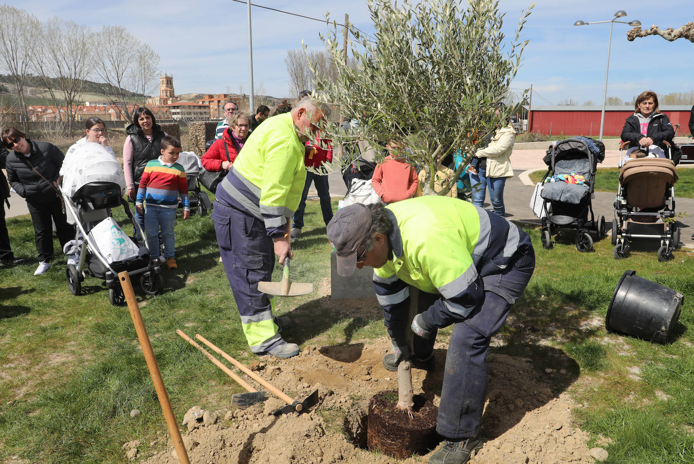 Villamuriel, un árbol por cada vecino