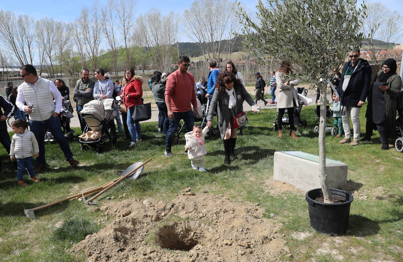 Villamuriel, un árbol por cada vecino