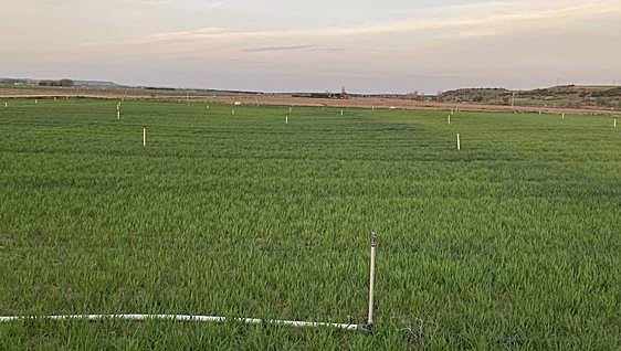 La dotación del Pisuerga-Bajo Duero se estanca en 3.500 metros cúbicos por hectárea