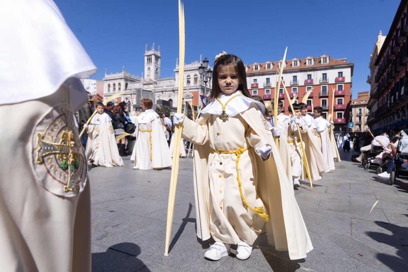 Procesión de la Borriquilla de Valladolid