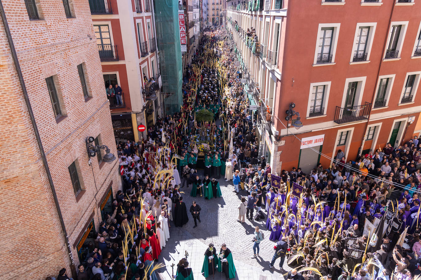 Procesión de la Borriquilla de Valladolid