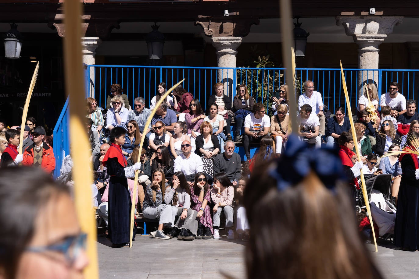 Procesión de la Borriquilla de Valladolid