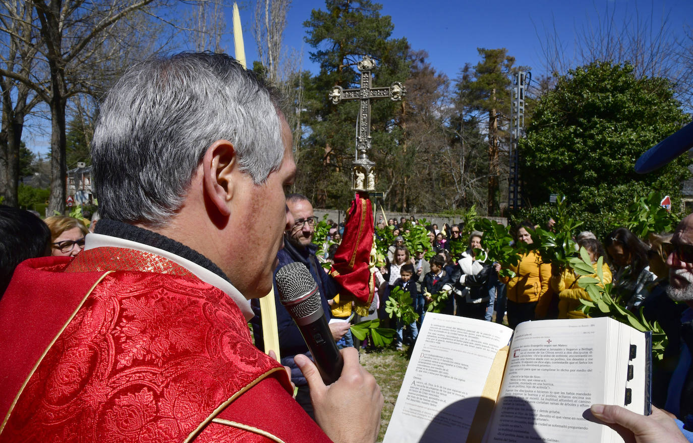 Procesión del Domingo de Ramos en El Espinar y San Rafael