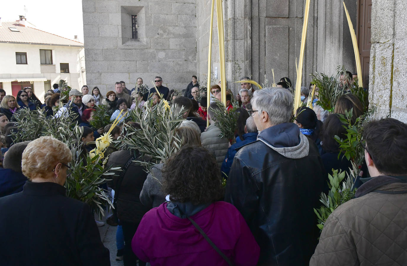 Procesión del Domingo de Ramos en El Espinar y San Rafael