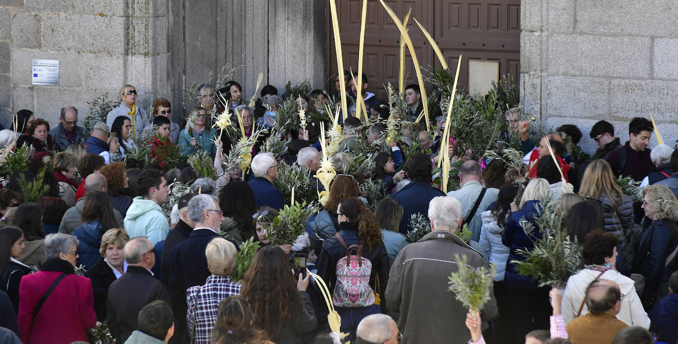 Procesión del Domingo de Ramos en El Espinar y San Rafael