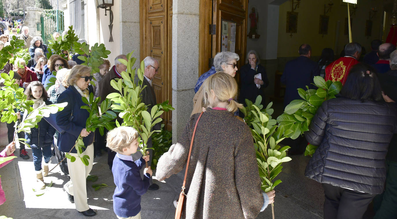 Procesión del Domingo de Ramos en El Espinar y San Rafael