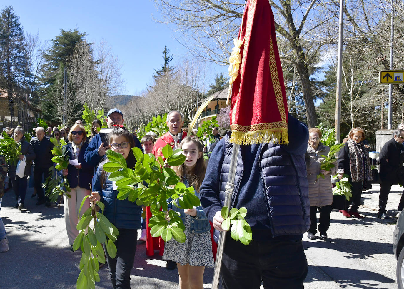 Procesión del Domingo de Ramos en El Espinar y San Rafael