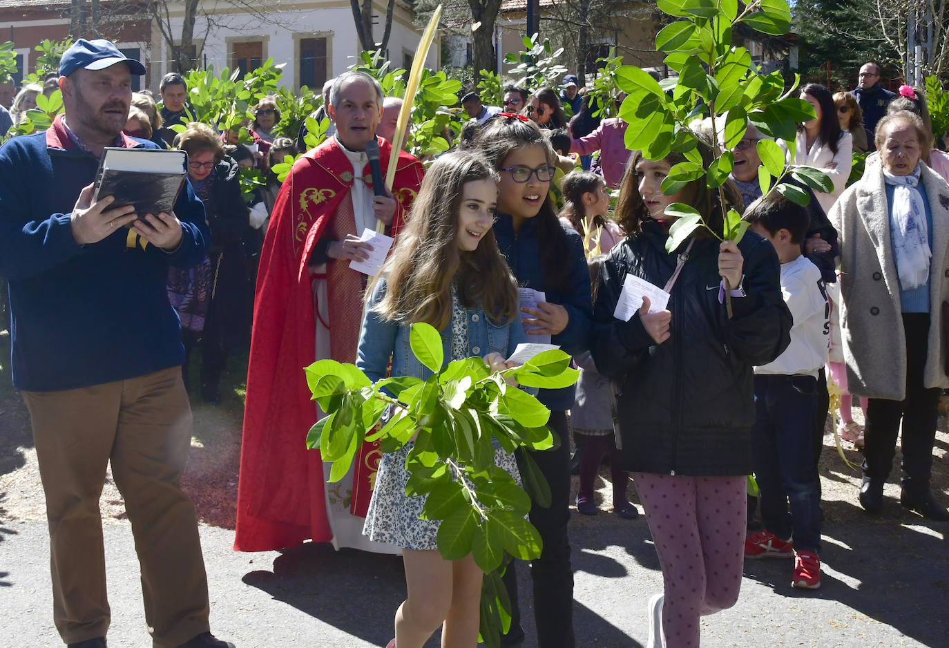 Procesión del Domingo de Ramos en El Espinar y San Rafael