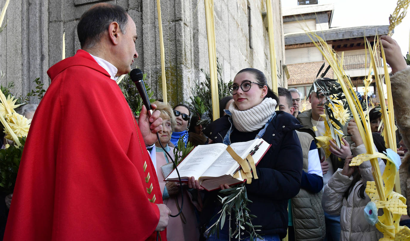 Procesión del Domingo de Ramos en El Espinar y San Rafael