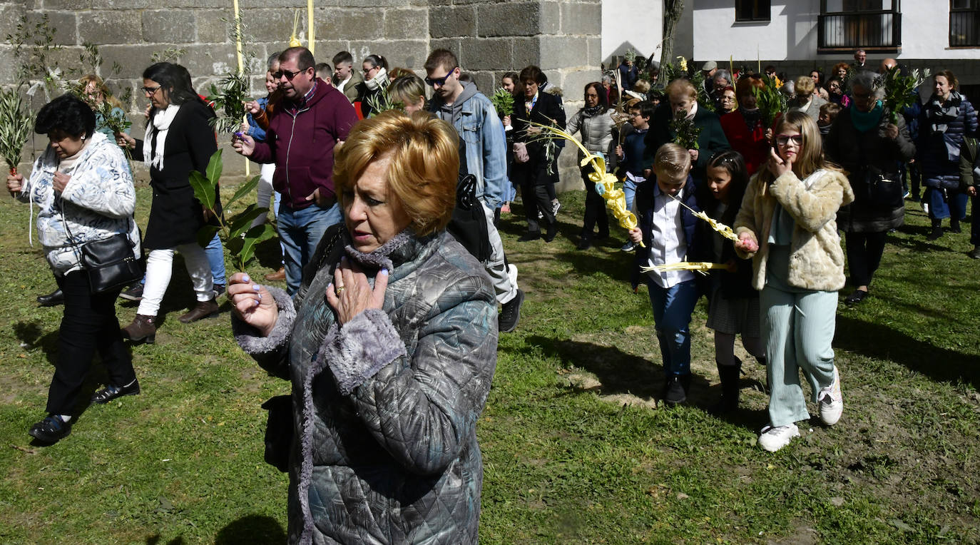 Procesión del Domingo de Ramos en El Espinar y San Rafael