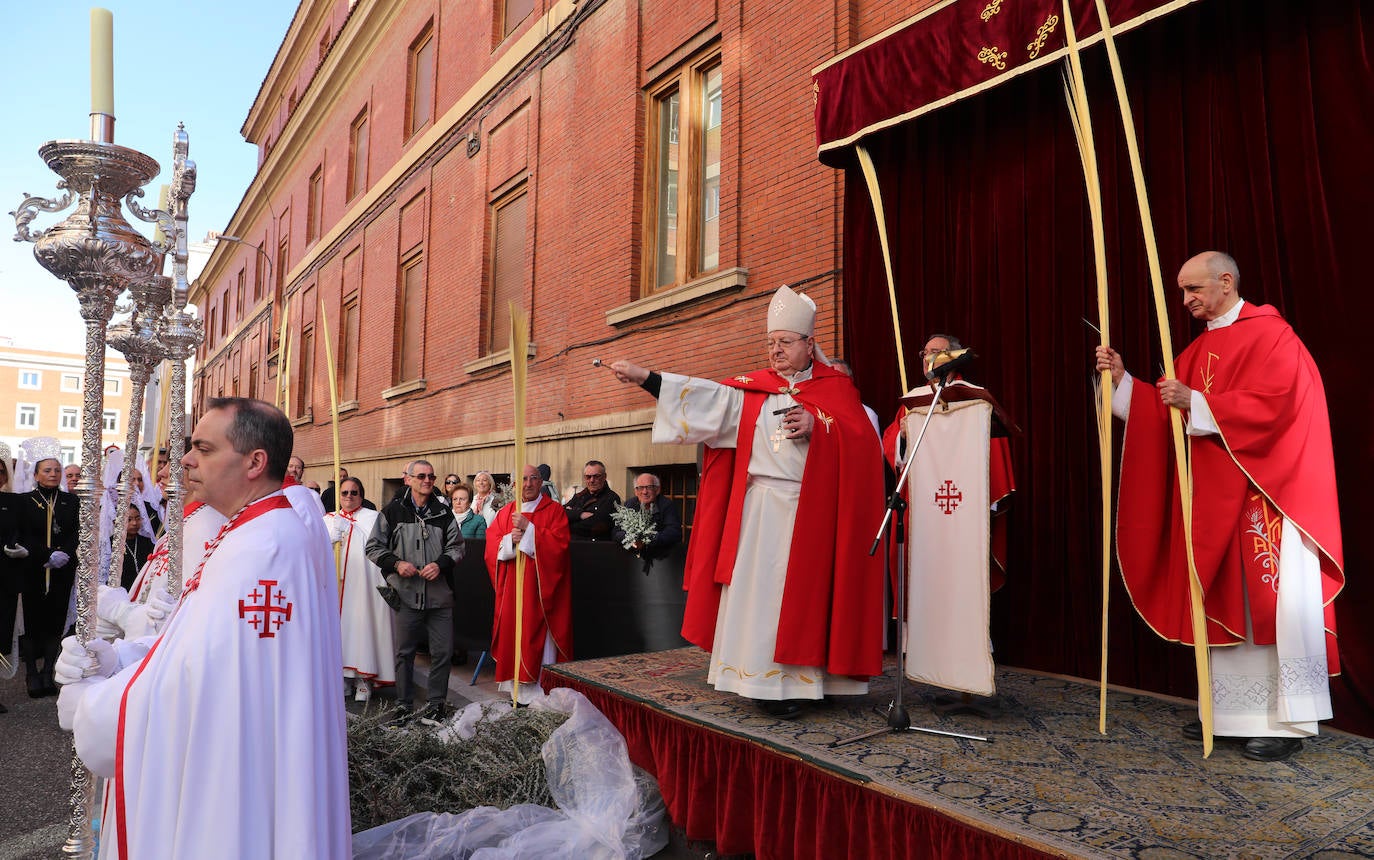 Procesión de la &#039;borriquilla&#039; en Palencia