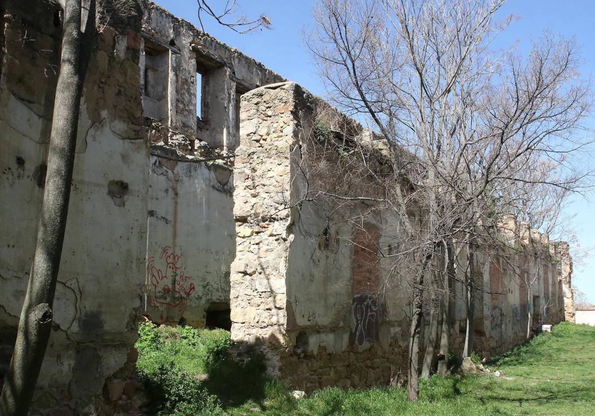 Terrenos donde se prevé la construcción de la residencia y el párking.