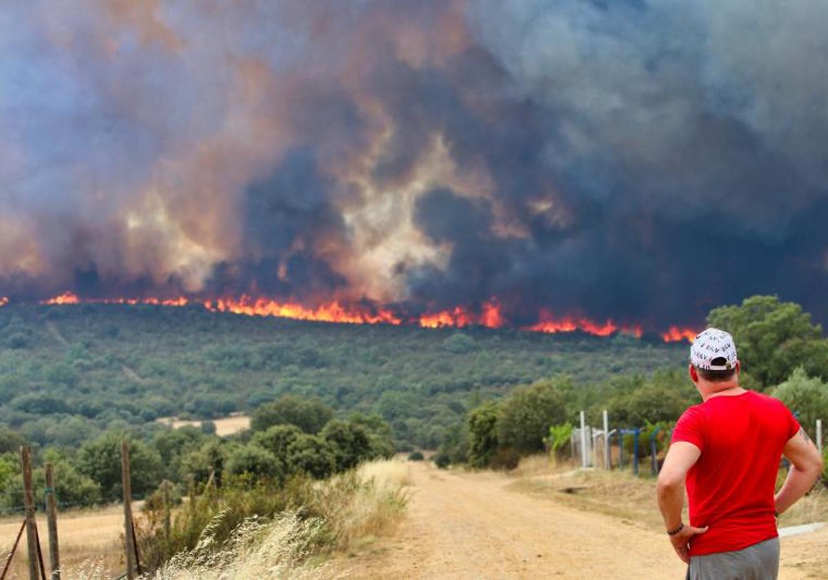 Un vecino de Litos observa el incendio forestal que arrasó la Sierra de la Culebra.