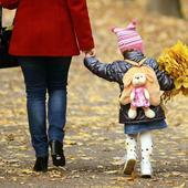 Así afectará la nueva Ley de Familias a las familias numerosas