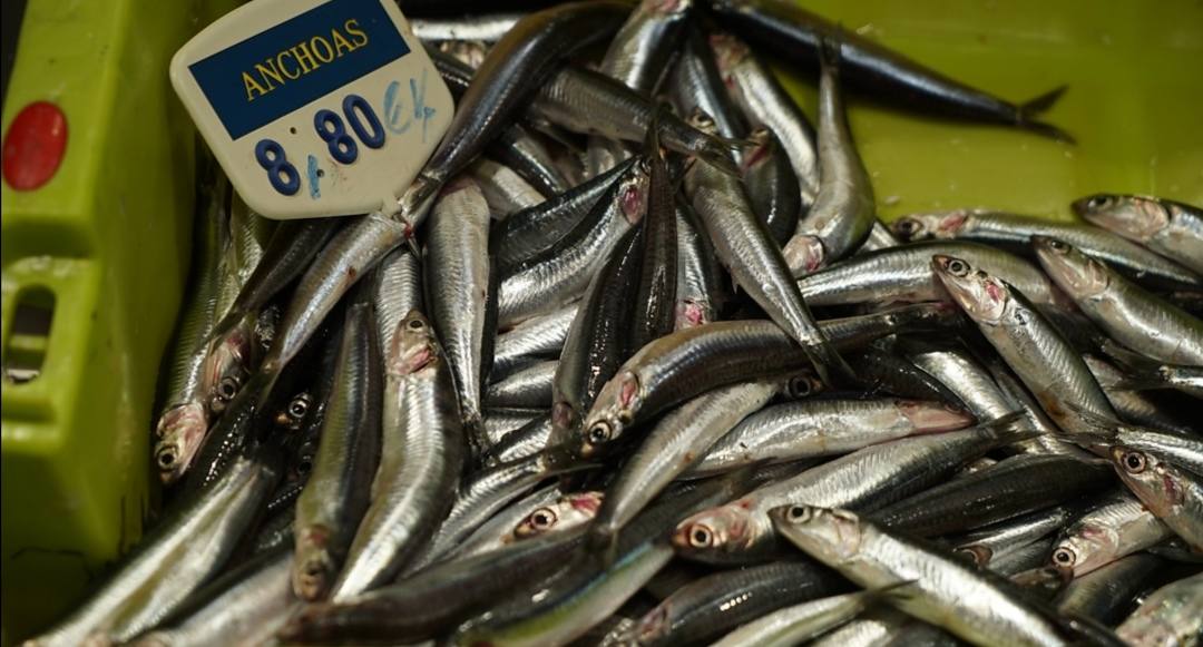 Anchoas de temporada en el Mercado del Val